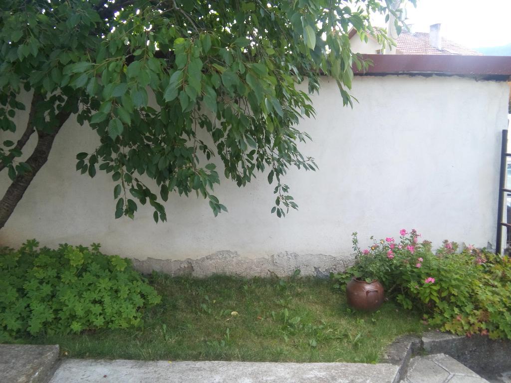 Guest House Ahp Mala Tsŭrkva Exterior foto